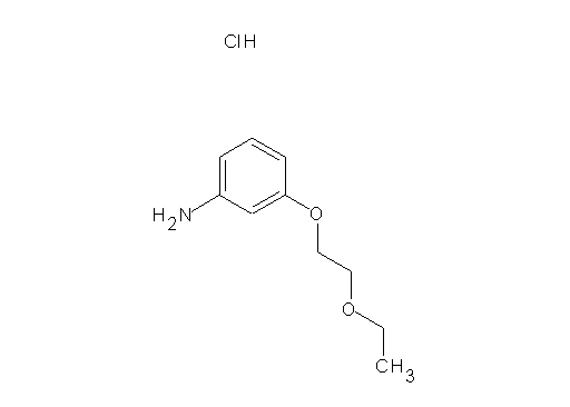 [3-(2-ethoxyethoxy)phenyl]amine hydrochloride - Click Image to Close