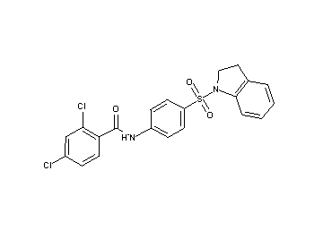 2,4-dichloro-N-[4-(2,3-dihydro-1H-indol-1-ylsulfonyl)phenyl]benzamide - Click Image to Close