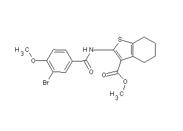 methyl 2-[(3-bromo-4-methoxybenzoyl)amino]-4,5,6,7-tetrahydro-1-benzothiophene-3-carboxylate - Click Image to Close