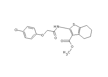 methyl 2-{[(4-chlorophenoxy)acetyl]amino}-4,5,6,7-tetrahydro-1-benzothiophene-3-carboxylate