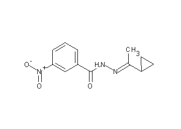 N'-(1-cyclopropylethylidene)-3-nitrobenzohydrazide - Click Image to Close