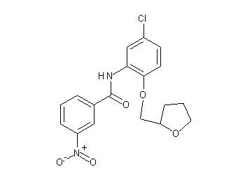 N-[5-chloro-2-(tetrahydro-2-furanylmethoxy)phenyl]-3-nitrobenzamide - Click Image to Close