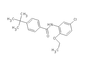 4-tert-butyl-N-(5-chloro-2-ethoxyphenyl)benzamide - Click Image to Close