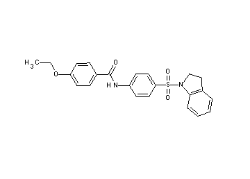 N-[4-(2,3-dihydro-1H-indol-1-ylsulfonyl)phenyl]-4-ethoxybenzamide - Click Image to Close