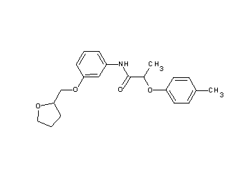 2-(4-methylphenoxy)-N-[3-(tetrahydro-2-furanylmethoxy)phenyl]propanamide