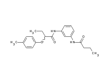 N-[3-(butyrylamino)phenyl]-2-(4-methylphenoxy)butanamide - Click Image to Close