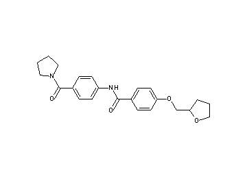 N-[4-(1-pyrrolidinylcarbonyl)phenyl]-4-(tetrahydro-2-furanylmethoxy)benzamide