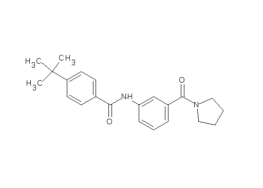4-tert-butyl-N-[3-(1-pyrrolidinylcarbonyl)phenyl]benzamide - Click Image to Close