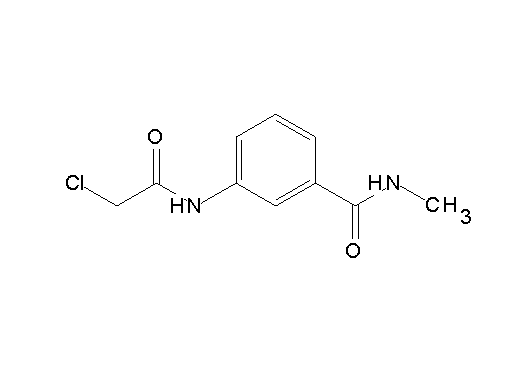 3-[(chloroacetyl)amino]-N-methylbenzamide