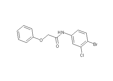 N-(4-bromo-3-chlorophenyl)-2-phenoxyacetamide