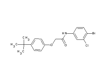 N-(4-bromo-3-chlorophenyl)-2-(4-tert-butylphenoxy)acetamide