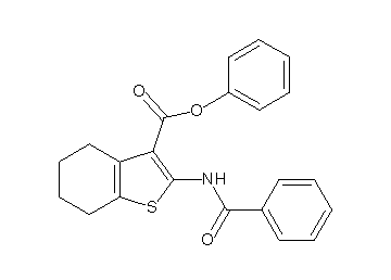 phenyl 2-(benzoylamino)-4,5,6,7-tetrahydro-1-benzothiophene-3-carboxylate